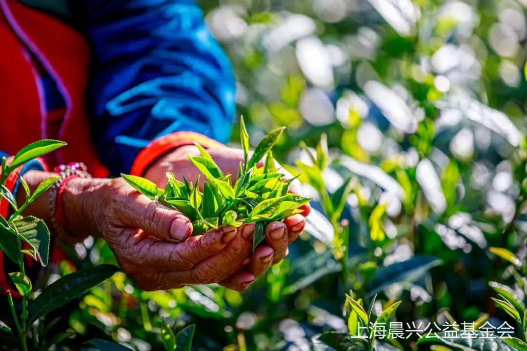 2022年度  产业扶贫 项目回顾
