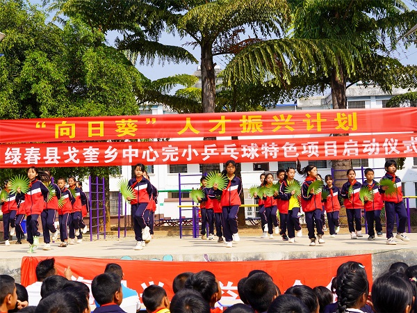 “向日葵”人才振兴计划 | 乒乓球特色项目启动仪式隆重举行