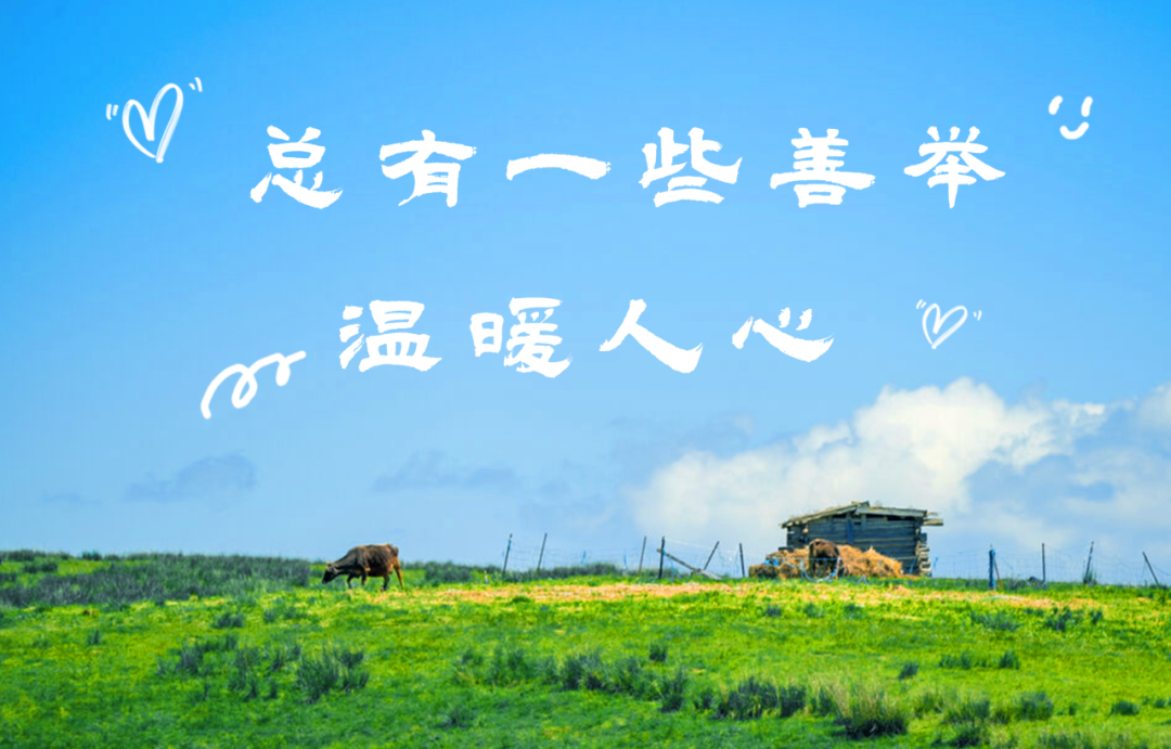 以爱之名 借公益之风 于盛夏同行