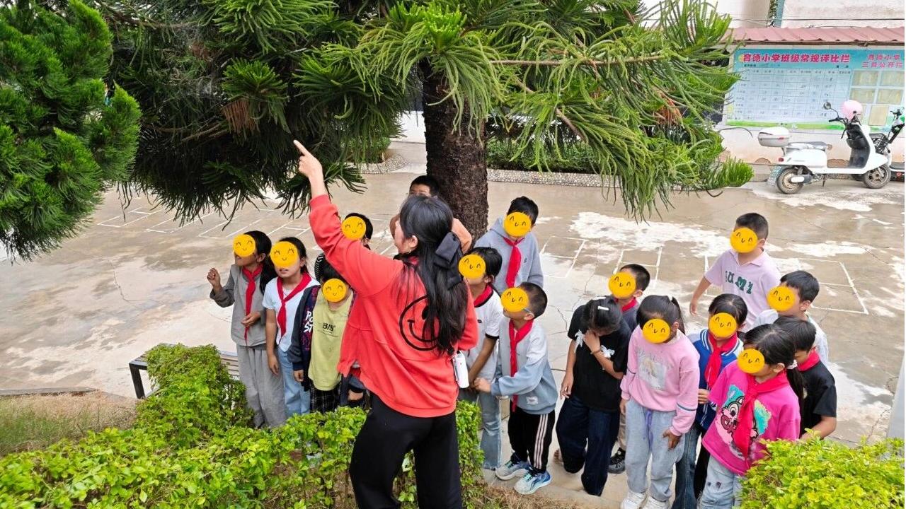 乡土N校丨晨兴公益支持田字格公益乡土课落地云南保山